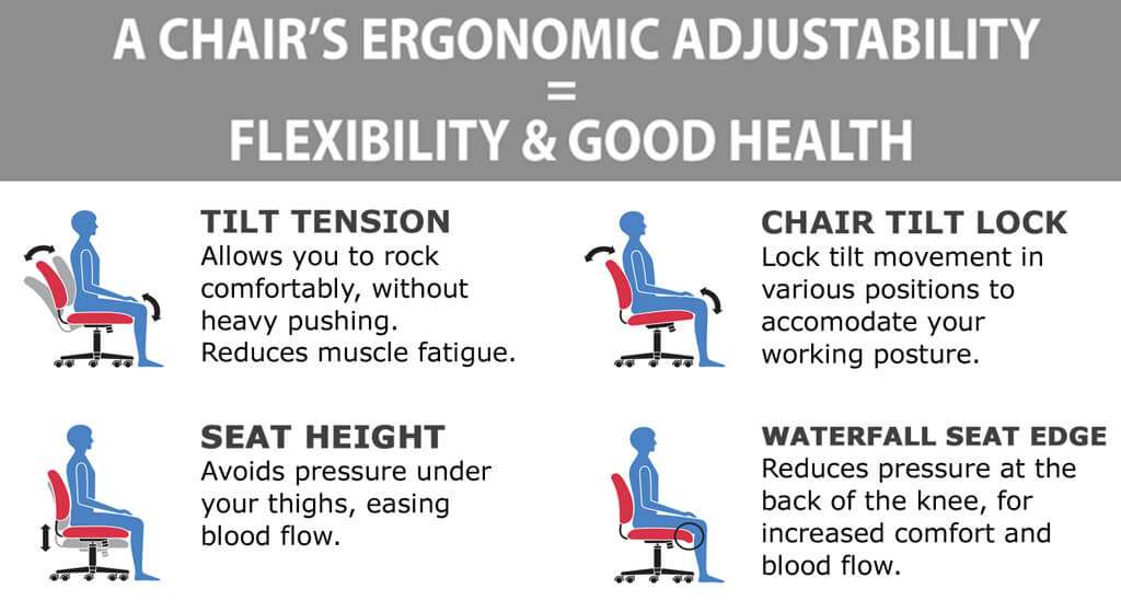 Mesh office chair ergonomics